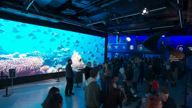 A person inside an interactive digital media environment